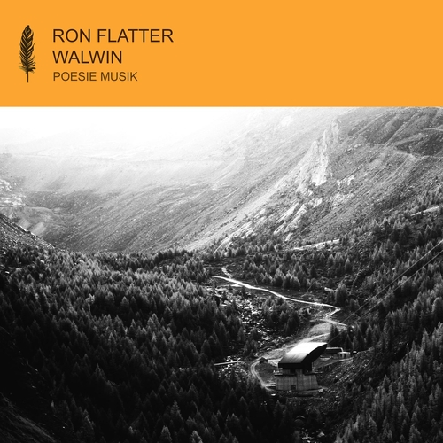 Ron Flatter - Walwin [POM153]